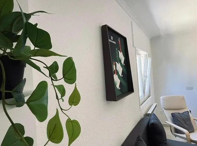 Casa Lameiro 公寓 *